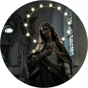 NYAN KING PLAGUE - Musical artist