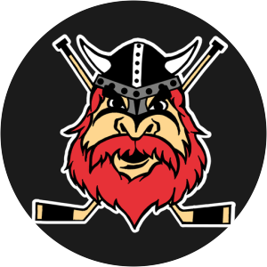 Nybro Vikings photograph