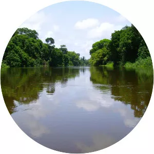 Nyong River