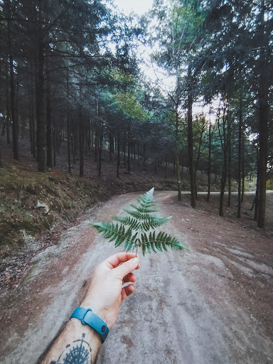 O Bosque Encantado - Hiking area in Spain