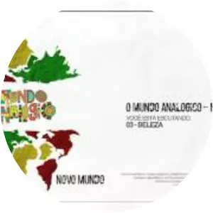 O Mundo Analógico