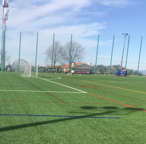 O Nogueirense - AEFN