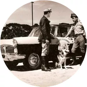 O Vigilante Rodoviário - TV program