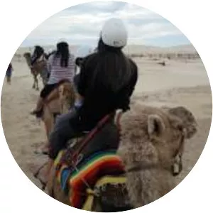 Oakfield Ranch Camel Rides - 