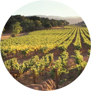 Oakville, California