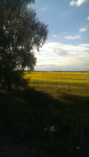 Ob'yednannya Spivvlasnykiv Bahatokvartyrnoho Budynku Mriya Boryspolya - Tenant ownership in Boryspil, Ukraine