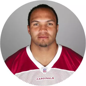 Obafemi Ayanbadejo - Former American football player