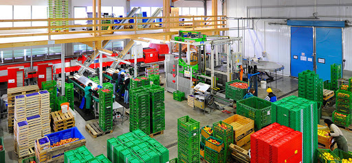 Oberinntalobst - Grocery store