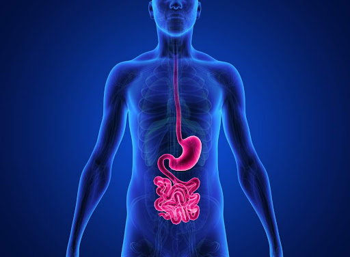 Obesity Clinic Istanbul - Health and beauty shop in Istanbul