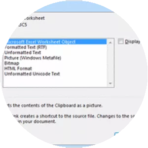 Object Linking and Embedding photograph
