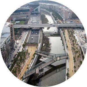 Oblique Bridge Madrid - 