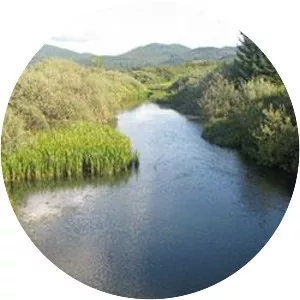 Obrh - Stream in Slovenia