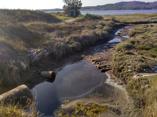 Observatorio de aves Punta de Arnosa - Observatory in Spain