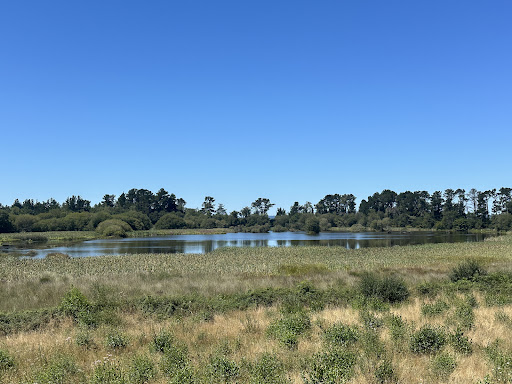 Observatorio ornitologico Lago caque