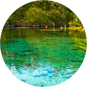 Ocala National Forest - 