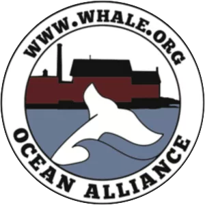 Ocean Alliance - Nonprofit organization