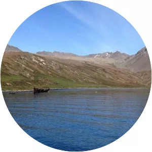 Ocean Harbour - Bay in South Georgia and the South Sandwich Islands