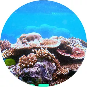 Ocean Parks - TV program