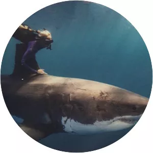 Ocean Ramsey - Diving instructor