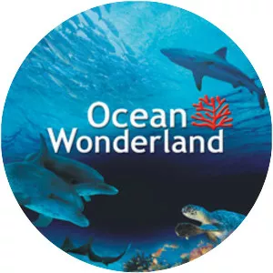 Ocean Wonderland - 2003 ‧ Short/Family ‧ 41 mins