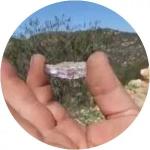 Oceanview Gem Mine & Pala Chief Mine