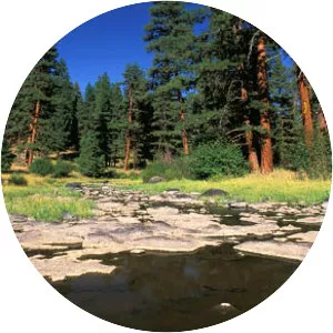 Ochoco National Forest