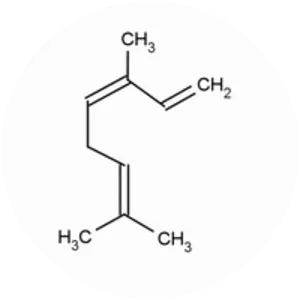 Ocimene - Chemical compound