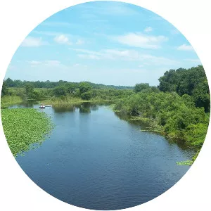 Ocklawaha River - 