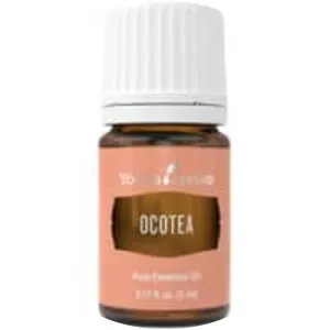 Ocotea