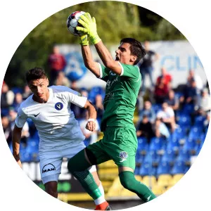 Octavian Gabriel Vâlceanu