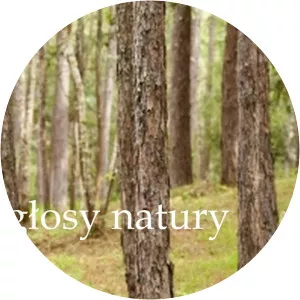 Odglosy Natury - Musical artist
