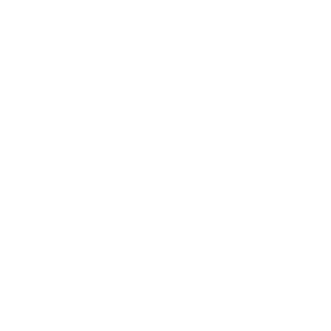 Office of National Intelligence