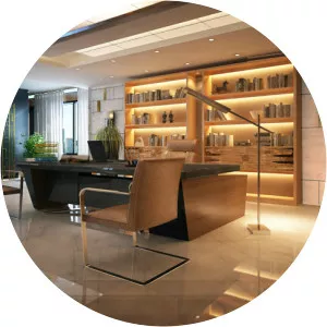 Office of the Chief Executive - Government agency