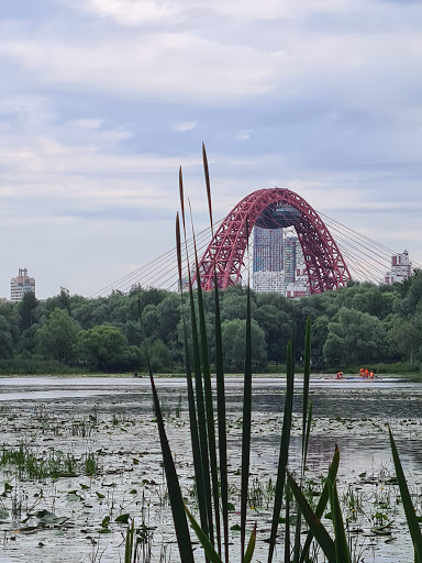 Ofis River-Klab - Corporate office in Vel'yaminovo, Russia