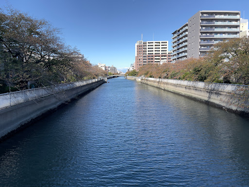 Ogibashi - Bridge in the Koto, Tokyo, Japan
