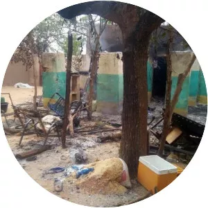 Ogossagou massacre - 