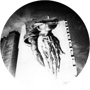 Oiseaux-Tempête - Musical group