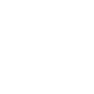 OIZUMI Corporation