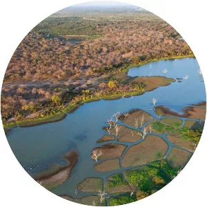 Okavango Delta - 