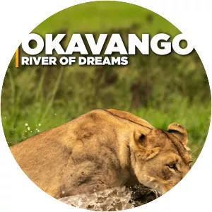 Okavango: River of Dreams