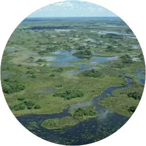 Okavango River - 