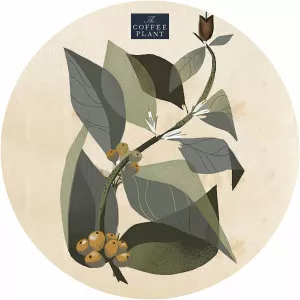 Okho - Musical artist