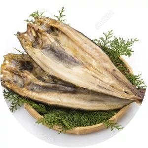 Okhotsk atka mackerel