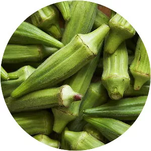 Okra - Plants