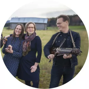 Ola Hertzberg - Musician