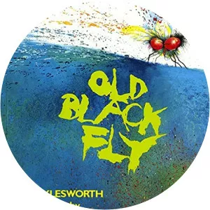 Old black fly