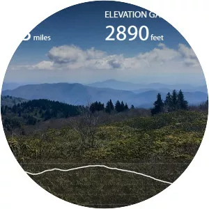 Old Butt Knob - Summit in North Carolina