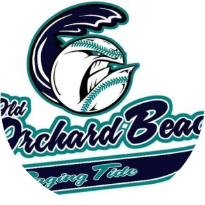 Old Orchard Beach Raging Tide