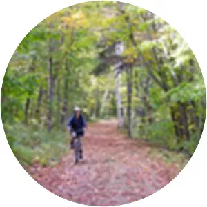 Old Railway Bike Trail - 