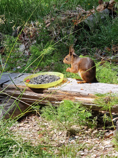 Ole Brumm barnehage - Kindergarten in Aurskog, Norway